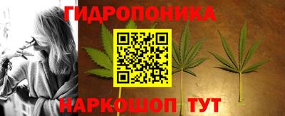 ГАЛЛЮЦИНОГЕННЫЕ ГРИБЫ Новокубанск