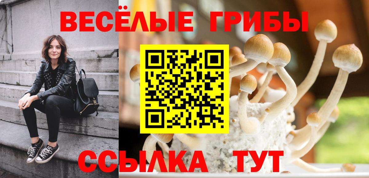 Ступино  Галлюциногенные грибы MAGIC MUSHROOMS  Вход с VPN 